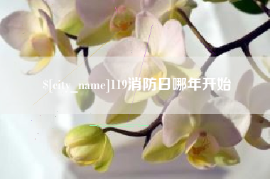 海安119消防日哪年开始