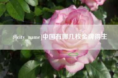 海安中国有哪几枚金牌得主