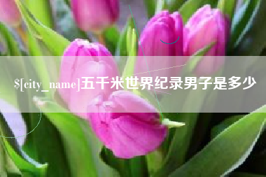 海安五千米世界纪录男子是多少