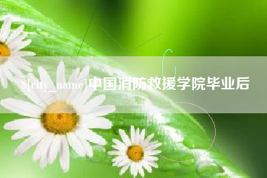 海安中国消防救援学院毕业后
