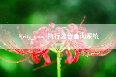 海安执行公告查询系统