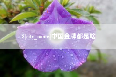 海安中国金牌都是啥