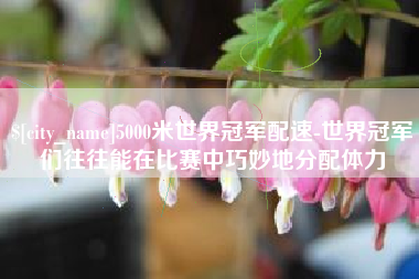 海安5000米世界冠军配速-世界冠军们往往能在比赛中巧妙地分配体力