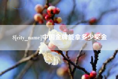海安中国金牌能拿多少奖金