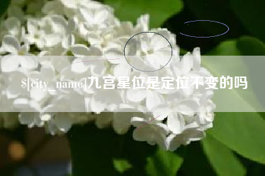 海安九宫星位是定位不变的吗