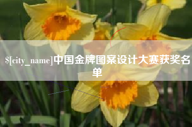 海安中国金牌图案设计大赛获奖名单