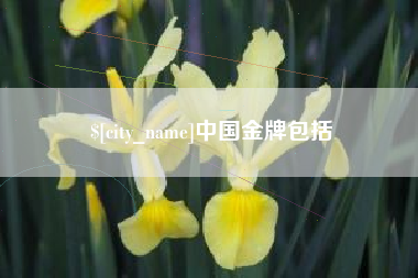 海安中国金牌包括