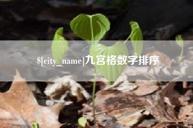 海安九宫格数字排序