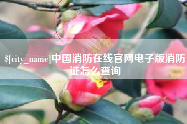海安中国消防在线官网电子版消防证怎么查询