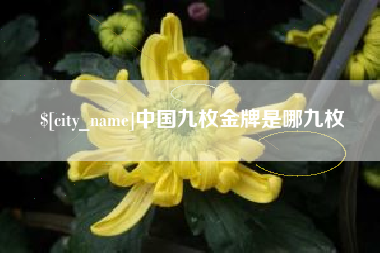 海安中国九枚金牌是哪九枚