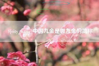 海安中国九金是哪九金的简称