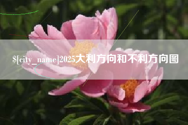 海安2025大利方向和不利方向图