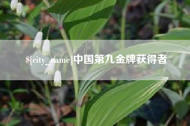 海安中国第九金牌获得者