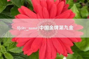 海安中国金牌第九金