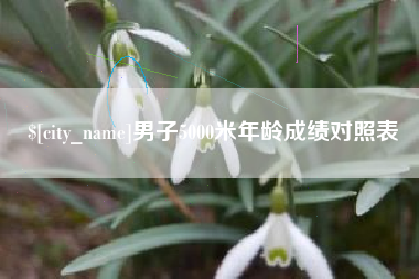 海安男子5000米年龄成绩对照表
