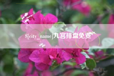 海安九宫排盘免费
