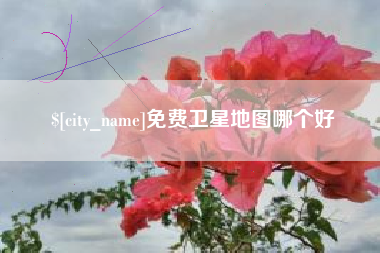 海安免费卫星地图哪个好