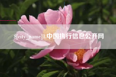 海安1.中国执行信息公开网