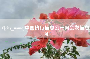 海安中国执行信息公开网会发信息吗