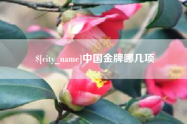 海安中国金牌哪几项