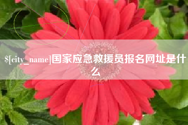 海安国家应急救援员报名网址是什么
