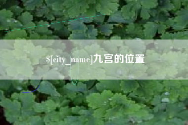 海安九宫的位置