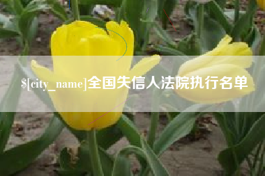 海安全国失信人法院执行名单