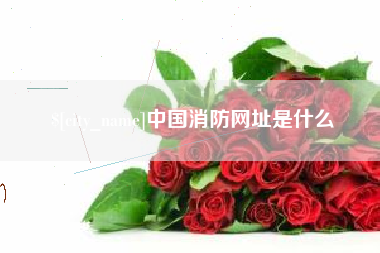 海安中国消防网址是什么
