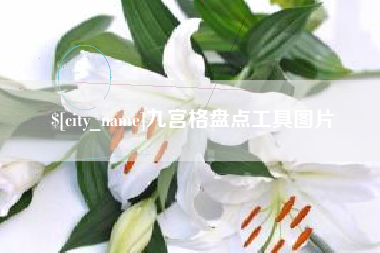 海安九宫格盘点工具图片