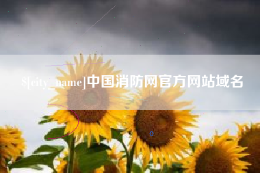 海安中国消防网官方网站域名