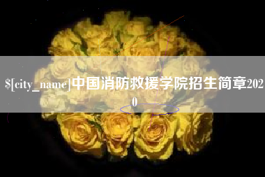 海安中国消防救援学院招生简章2020