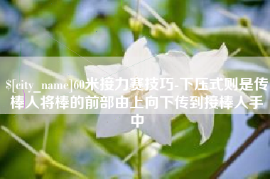 海安60米接力赛技巧-下压式则是传棒人将棒的前部由上向下传到接棒人手中