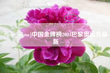 海安中国金牌榜2024巴黎奥运会最新
