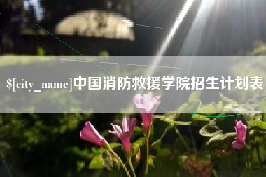 海安中国消防救援学院招生计划表