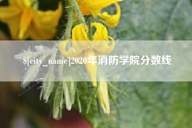 海安2020年消防学院分数线