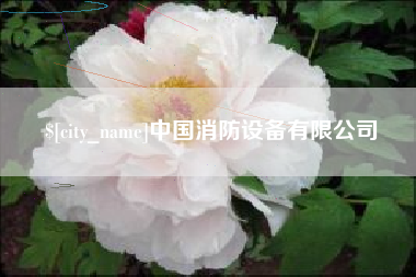 海安中国消防设备有限公司