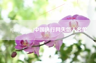 海安中国执行网失信人名单