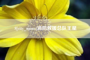 海安消防救援总队王星