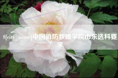 海安中国消防救援学院山东选科要求