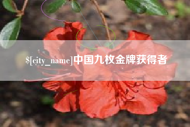 海安中国九枚金牌获得者