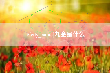 海安九金是什么