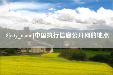 海安中国执行信息公开网的地点
