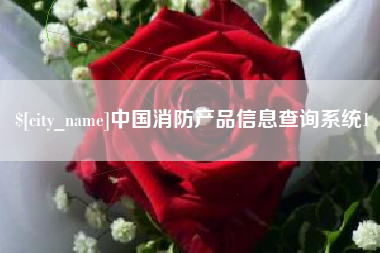 海安中国消防产品信息查询系统1