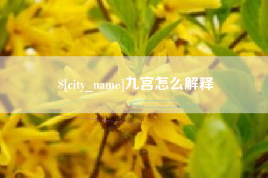 海安九宫怎么解释