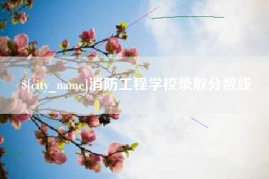 海安消防工程学校录取分数线