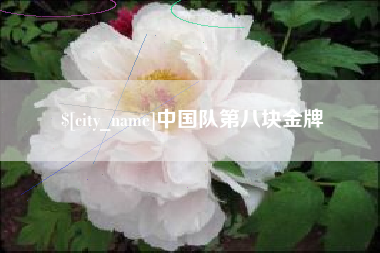 海安中国队第八块金牌