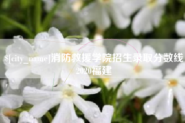 海安消防救援学院招生录取分数线2020福建