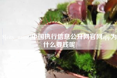 海安中国执行信息公开网官网app为什么要钱呢