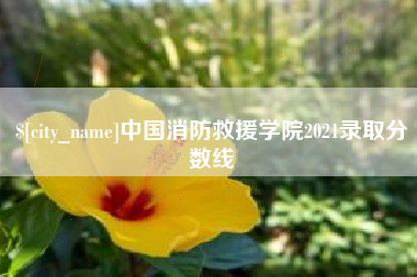 海安中国消防救援学院2021录取分数线