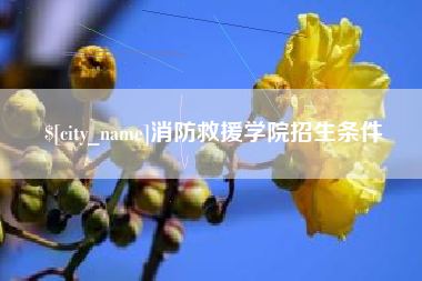 海安消防救援学院招生条件